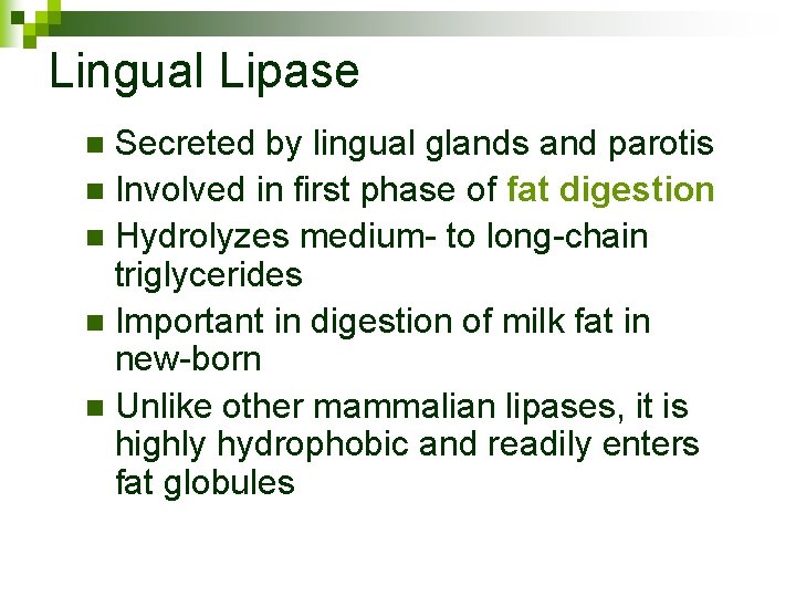 Lingual Lipase Secreted by lingual glands and parotis n Involved in first phase of