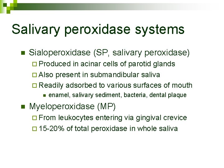 Salivary peroxidase systems n Sialoperoxidase (SP, salivary peroxidase) ¨ Produced in acinar cells of