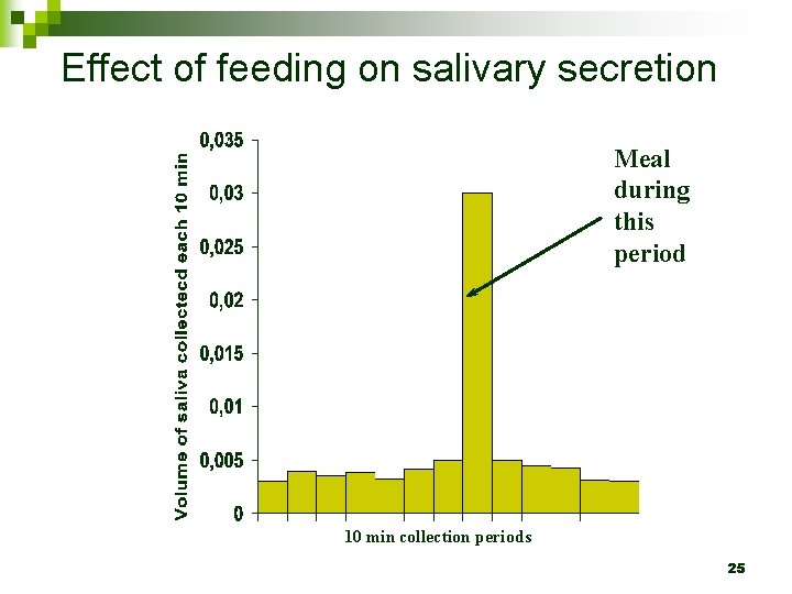 Effect of feeding on salivary secretion Meal during this period 10 min collection periods