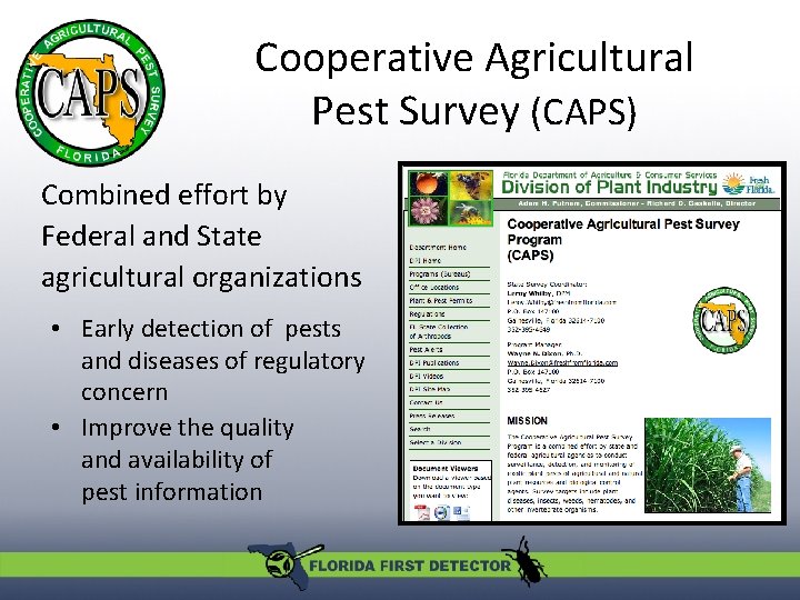 Cooperative Agricultural Pest Survey (CAPS) Combined effort by Federal and State agricultural organizations •