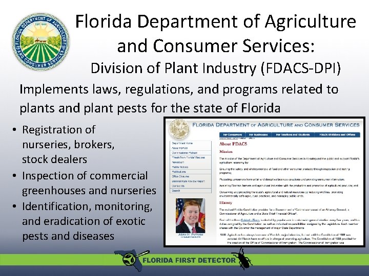 Florida Department of Agriculture and Consumer Services: Division of Plant Industry (FDACS-DPI) Implements laws,
