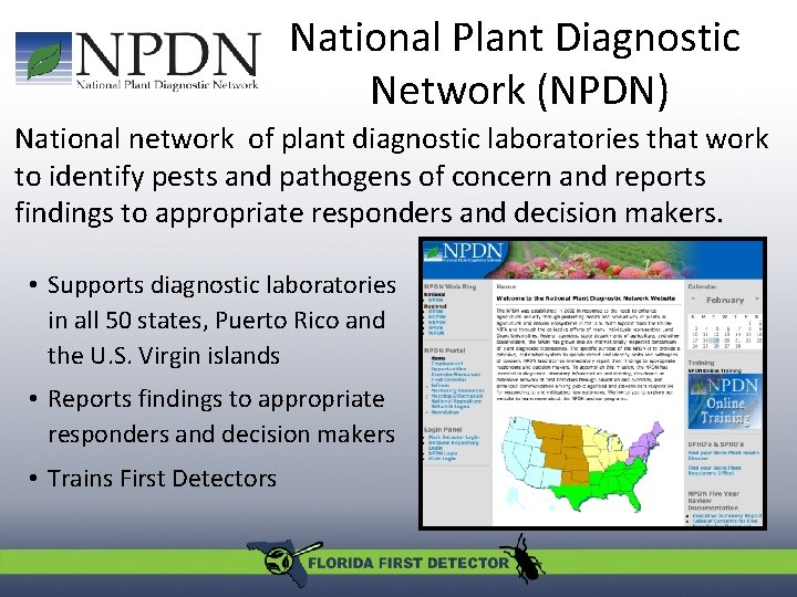 National Plant Diagnostic Network (NPDN) National network of plant diagnostic laboratories that work to