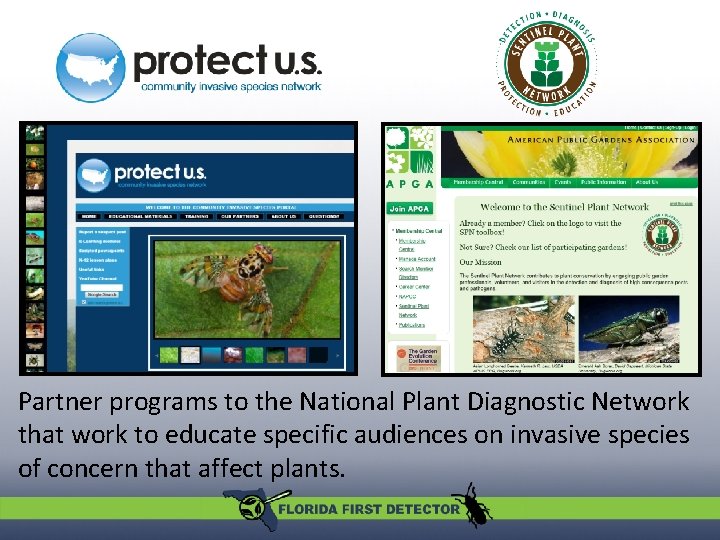 Partner programs to the National Plant Diagnostic Network that work to educate specific audiences