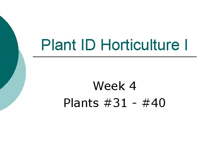 Plant ID Horticulture I Week 4 Plants #31 - #40 