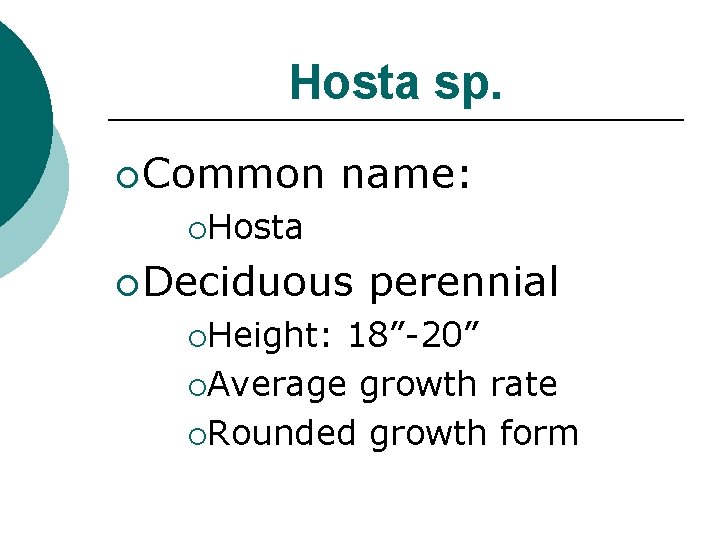 Hosta sp. ¡ Common name: ¡Hosta ¡ Deciduous ¡Height: perennial 18”-20” ¡Average growth rate