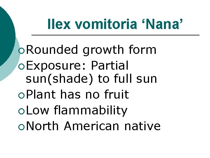 Ilex vomitoria ‘Nana’ ¡ Rounded growth form ¡ Exposure: Partial sun(shade) to full sun