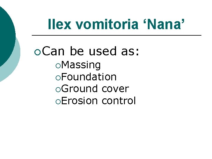 Ilex vomitoria ‘Nana’ ¡ Can be used as: ¡Massing ¡Foundation ¡Ground cover ¡Erosion control