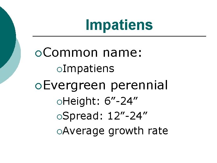 Impatiens ¡ Common name: ¡Impatiens ¡ Evergreen ¡Height: perennial 6”-24” ¡Spread: 12”-24” ¡Average growth