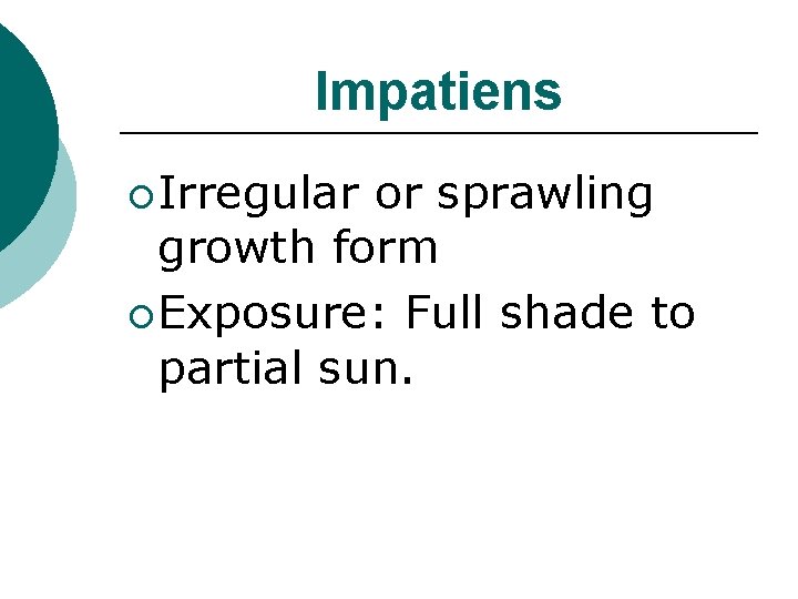 Impatiens ¡ Irregular or sprawling growth form ¡ Exposure: Full shade to partial sun.