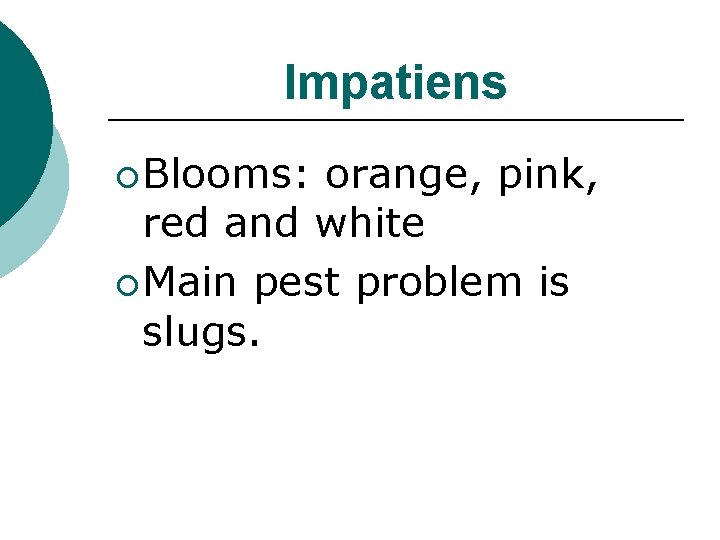 Impatiens ¡ Blooms: orange, pink, red and white ¡ Main pest problem is slugs.