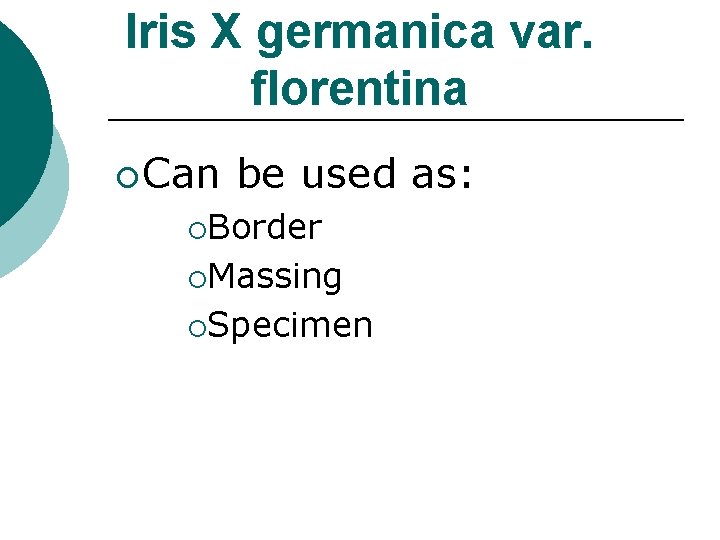 Iris X germanica var. florentina ¡ Can be used as: ¡Border ¡Massing ¡Specimen 