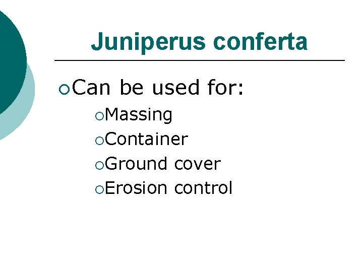 Juniperus conferta ¡ Can be used for: ¡Massing ¡Container ¡Ground cover ¡Erosion control 