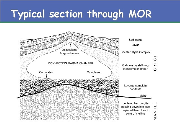Typical section through MOR 