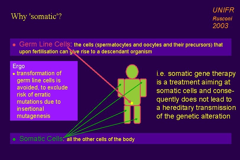 Why 'somatic'? UNIFR Rusconi 2003 l Germ Line Cells: the cells (spermatocytes and oocytes