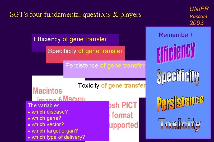 SGT's four fundamental questions & players UNIFR Rusconi 2003 Efficiency of gene transfer Specificity