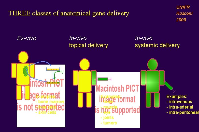 THREE classes of anatomical gene delivery Ex-vivo In-vivo topical delivery UNIFR Rusconi 2003 In-vivo