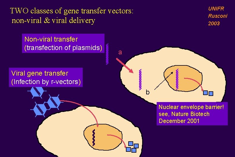 UNIFR Rusconi 2003 TWO classes of gene transfer vectors: non-viral & viral delivery Non-viral