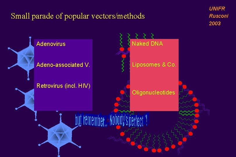 Small parade of popular vectors/methods Adenovirus Naked DNA Adeno-associated V. Liposomes & Co. Retrovirus