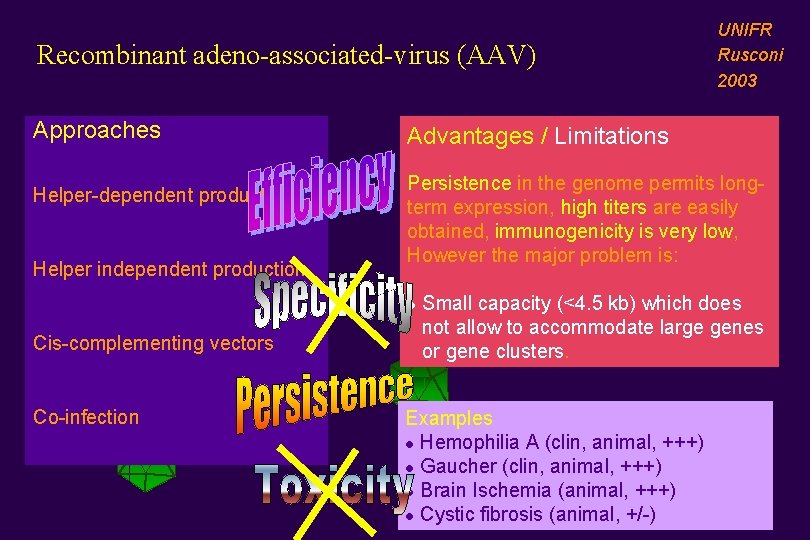 Recombinant adeno-associated-virus (AAV) Approaches Helper-dependent production Helper independent production Advantages / Limitations Persistence in