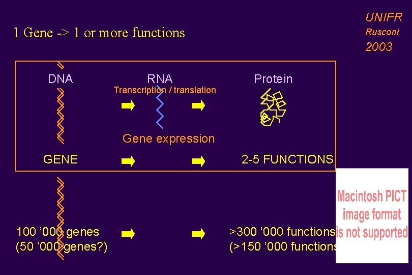 UNIFR 1 Gene -> 1 or more functions DNA RNA Transcription / translation Rusconi