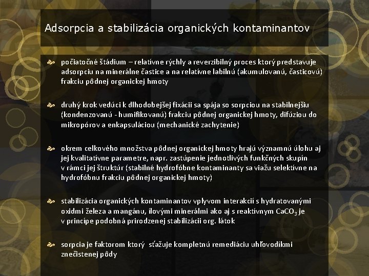 Adsorpcia a stabilizácia organických kontaminantov počiatočné štádium – relatívne rýchly a reverzibilný proces ktorý