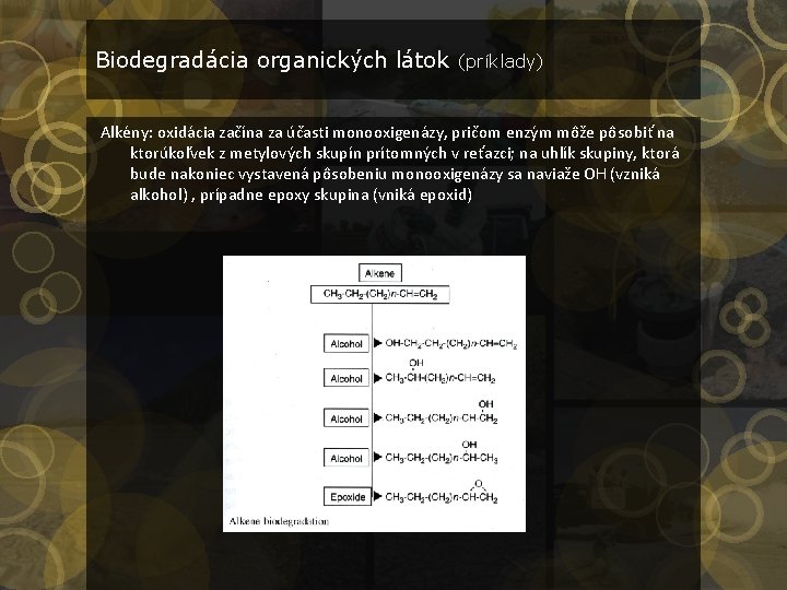 Biodegradácia organických látok (príklady) Alkény: oxidácia začína za účasti monooxigenázy, pričom enzým môže pôsobiť