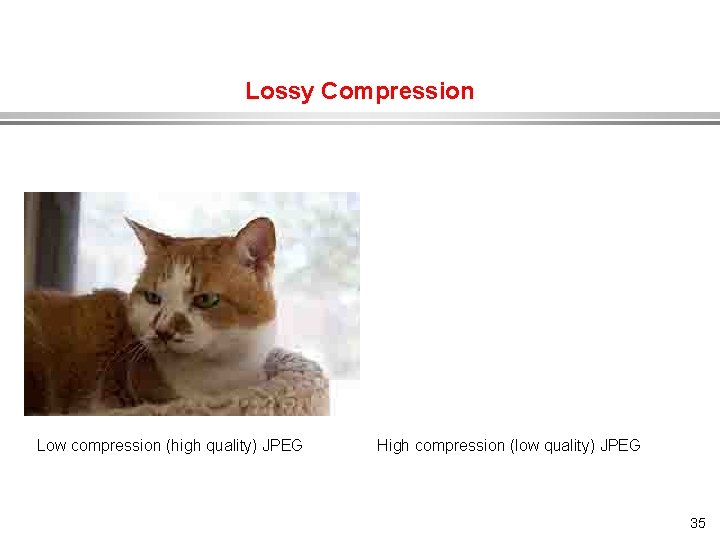 Lossy Compression Low compression (high quality) JPEG High compression (low quality) JPEG 35 