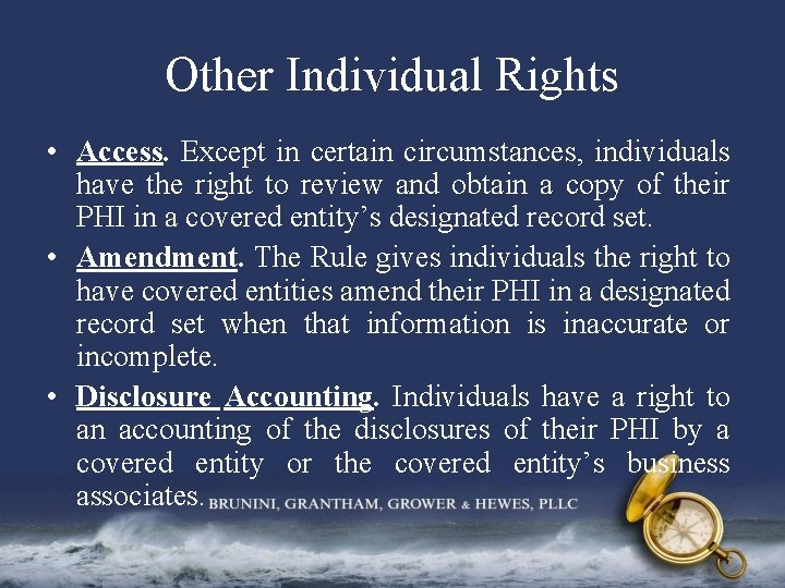 Other Individual Rights • Access. Except in certain circumstances, individuals have the right to