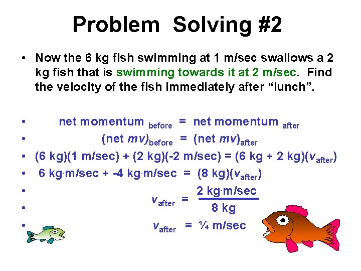 Problem Solving #2 • Now the 6 kg fish swimming at 1 m/sec swallows