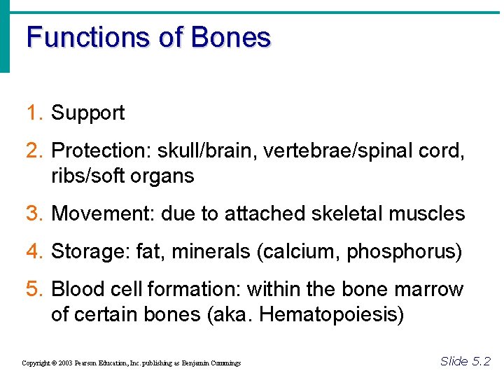 Functions of Bones 1. Support 2. Protection: skull/brain, vertebrae/spinal cord, ribs/soft organs 3. Movement: