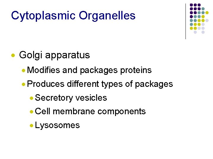 Cytoplasmic Organelles · Golgi apparatus · Modifies and packages proteins · Produces different types