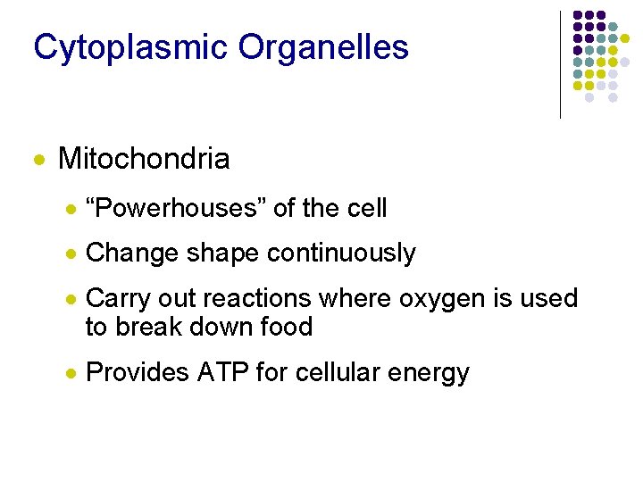 Cytoplasmic Organelles · Mitochondria · “Powerhouses” of the cell · Change shape continuously ·