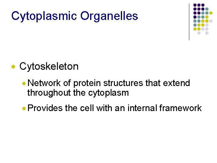 Cytoplasmic Organelles · Cytoskeleton · Network of protein structures that extend throughout the cytoplasm