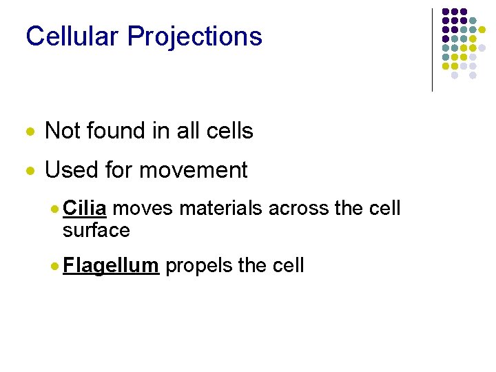 Cellular Projections · Not found in all cells · Used for movement · Cilia