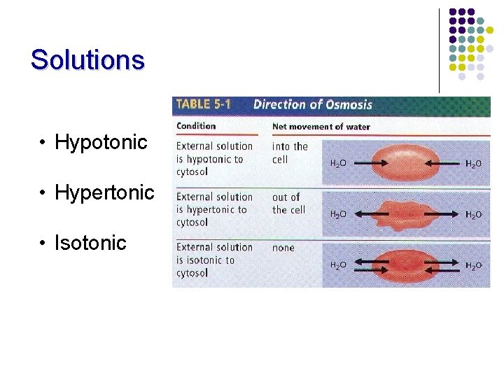 Solutions • Hypotonic • Hypertonic • Isotonic 