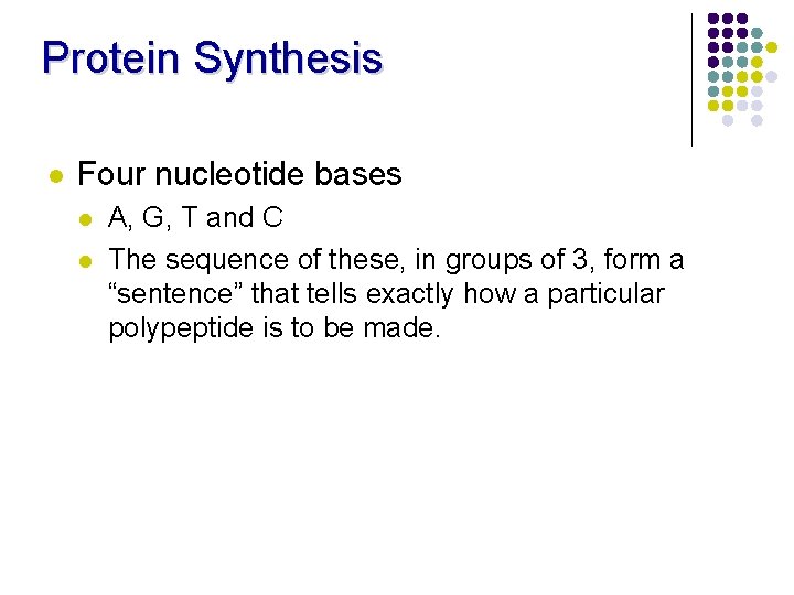 Protein Synthesis l Four nucleotide bases l l A, G, T and C The