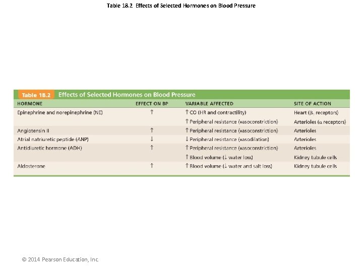 Table 18. 2 Effects of Selected Hormones on Blood Pressure © 2014 Pearson Education,