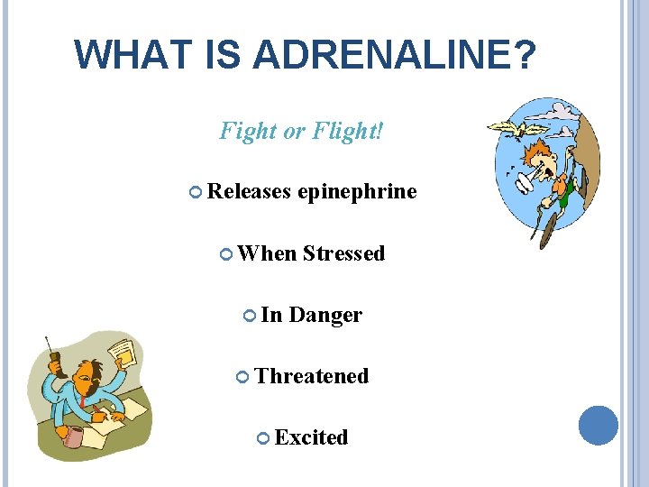 WHAT IS ADRENALINE? Fight or Flight! Releases epinephrine When In Stressed Danger Threatened Excited