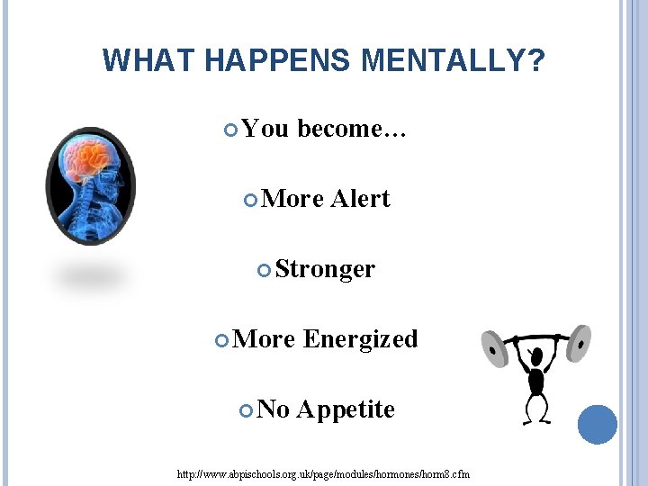 WHAT HAPPENS MENTALLY? You become… More Alert Stronger More No Energized Appetite http: //www.