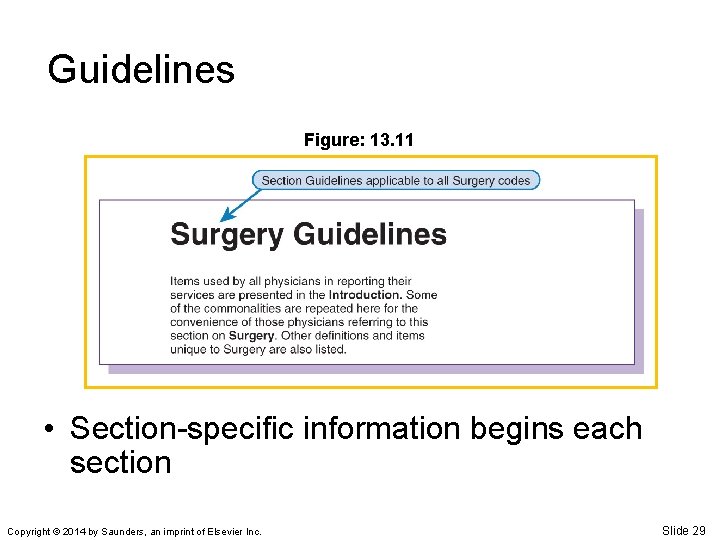 Guidelines Figure: 13. 11 • Section-specific information begins each section Copyright © 2014 by