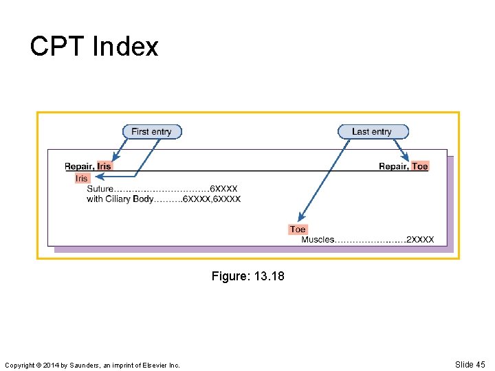 CPT Index Figure: 13. 18 Copyright © 2014 by Saunders, an imprint of Elsevier