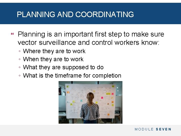 PLANNING AND COORDINATING Planning is an important first step to make sure vector surveillance