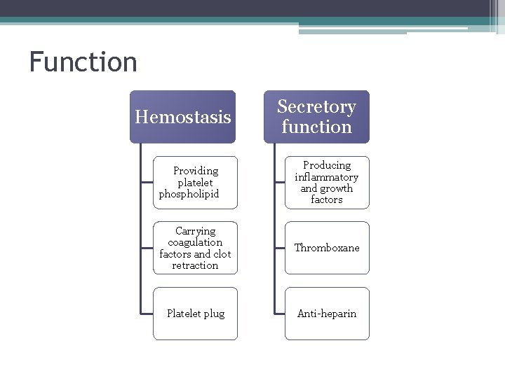 Function Hemostasis Secretory function Providing platelet phospholipid Producing inflammatory and growth factors Carrying coagulation