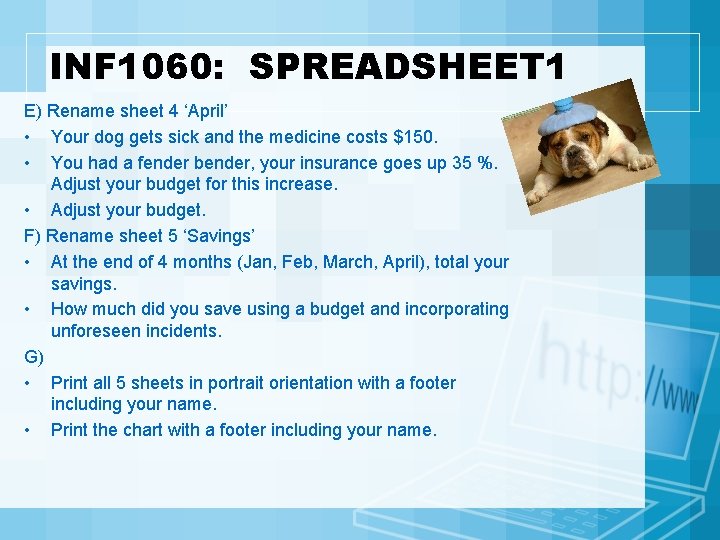 INF 1060: SPREADSHEET 1 E) Rename sheet 4 ‘April’ • Your dog gets sick