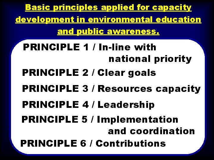Basic principles applied for capacity development in environmental education and public awareness. PRINCIPLE 1