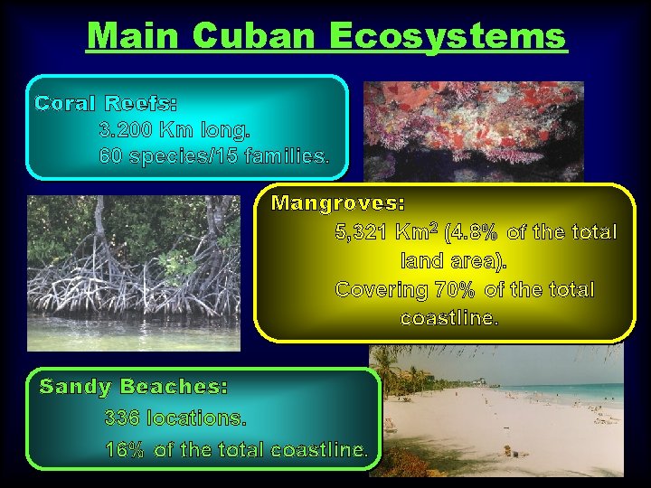 Main Cuban Ecosystems Coral Reefs: 3. 200 Km long. 60 species/15 families. Mangroves: 5,