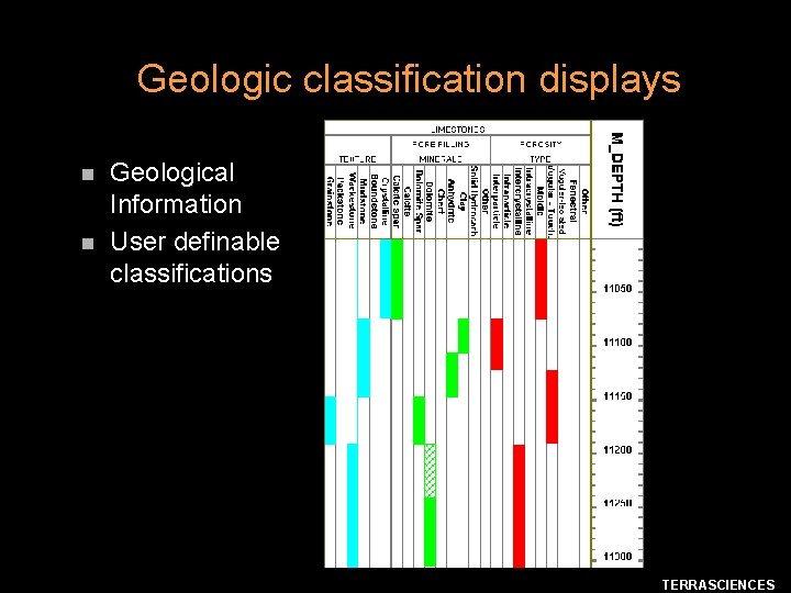 Geologic classification displays n n Geological Information User definable classifications TERRASCIENCES 