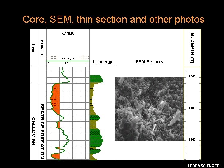 Core, SEM, thin section and other photos TERRASCIENCES 