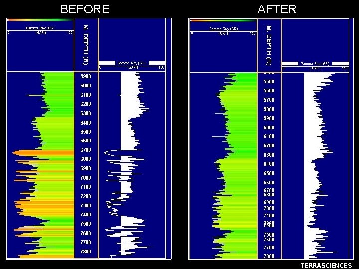 BEFORE AFTER TERRASCIENCES 