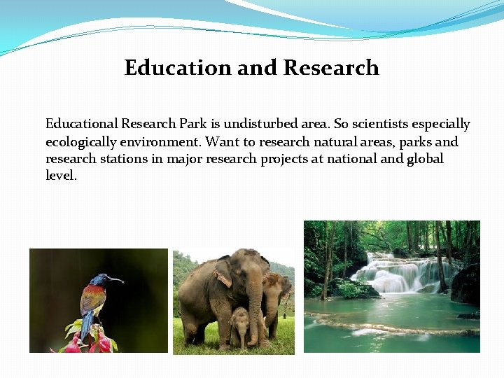 Education and Research Educational Research Park is undisturbed area. So scientists especially ecologically environment.